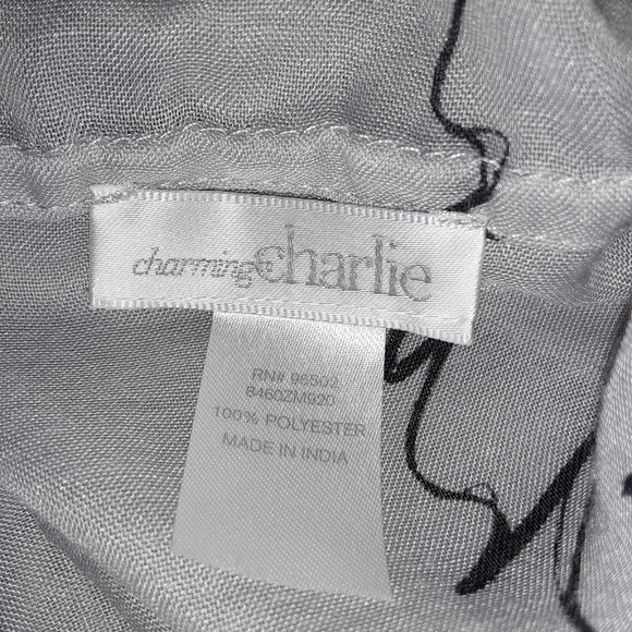 4/$30🌟Charming Charlie Infinity Scarf - Picture 4 of 7